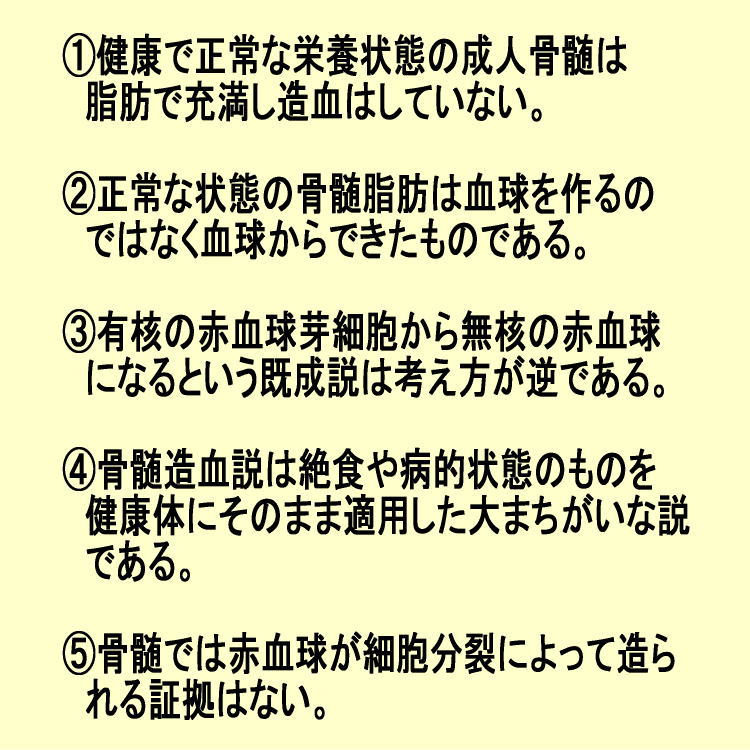 千島喜久男博士による「骨髄造血説の10の盲点」 | もりたカイロ