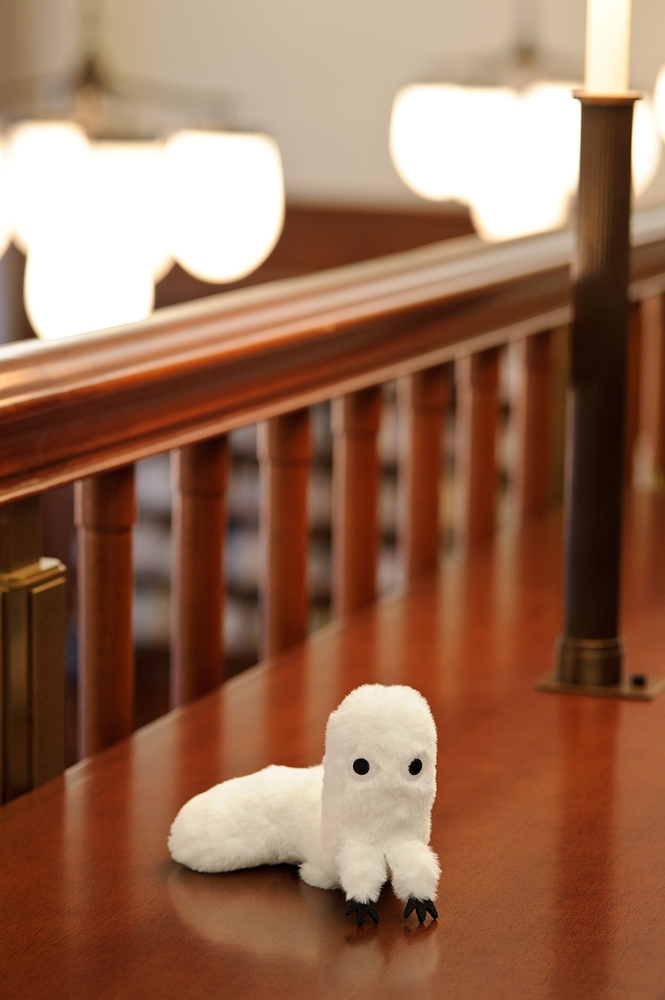 とんがり帽子のアトリエ』待望の最新⑫巻は本日6/22発売。限定版は