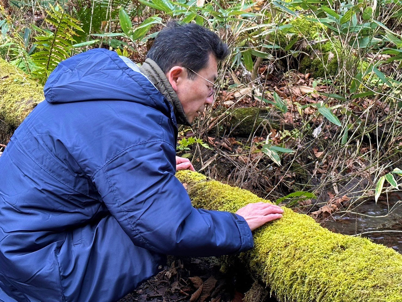 苔アーティスト 山縣健志（TAKESHI YAMAGATA） - プロジェクト