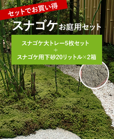 タマゴケ中トレー(340×510mm) | 苔の販売専門店モスファーム
