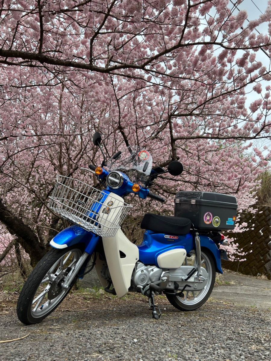 投稿詳細｜MOTOCLE