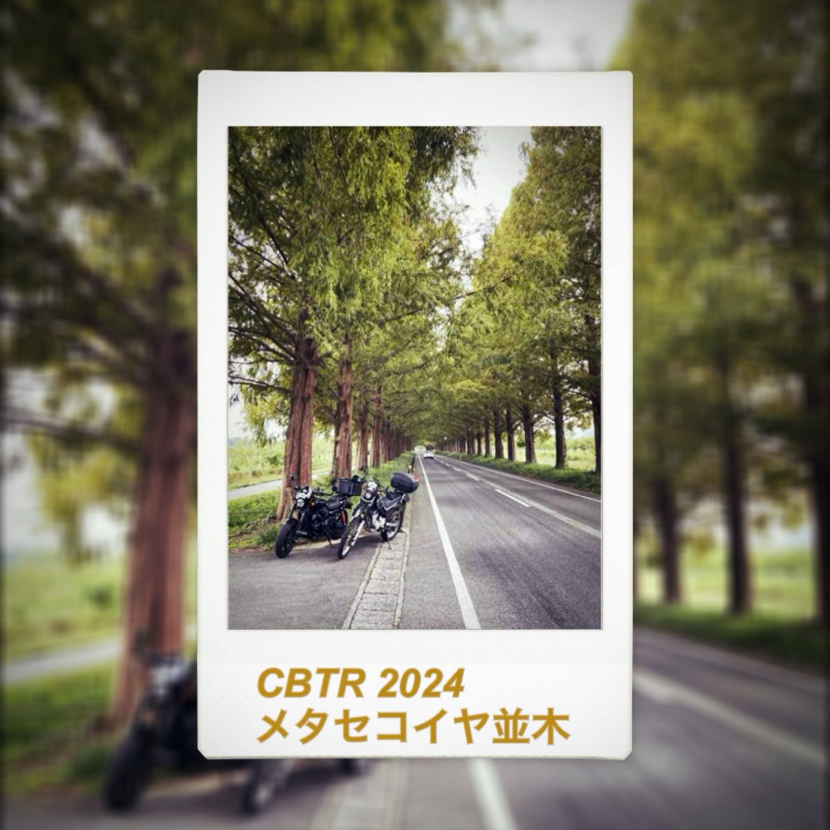 投稿詳細｜MOTOCLE