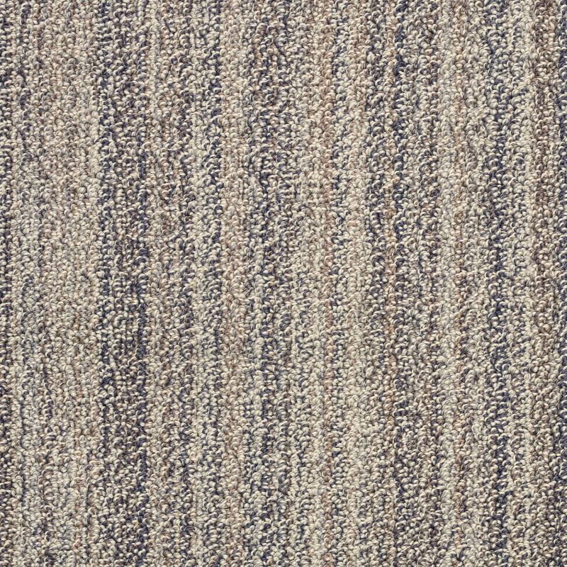 Shop Anderson Tuftex Sundance Cedar Grove 00545_ZZ039 Carpet