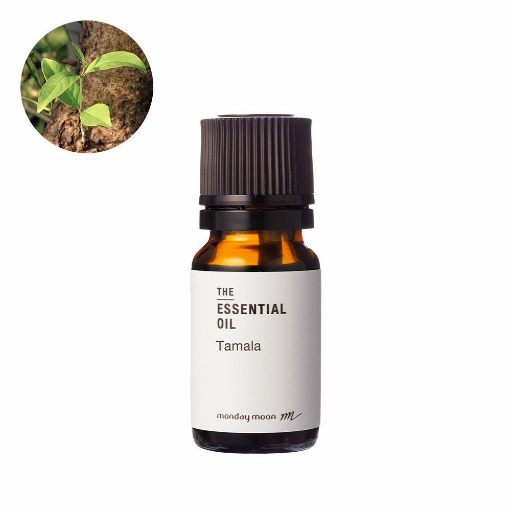 今だけP10倍】カメリアブロッサム・アブソリュート・オーガニック