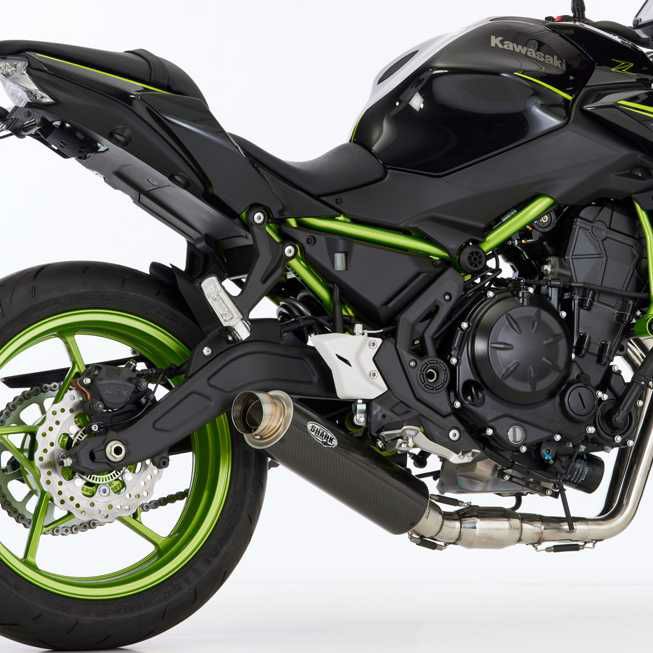 Z650RS ヘックス・ラジエターコアプロテクター (ブラック) アーキ