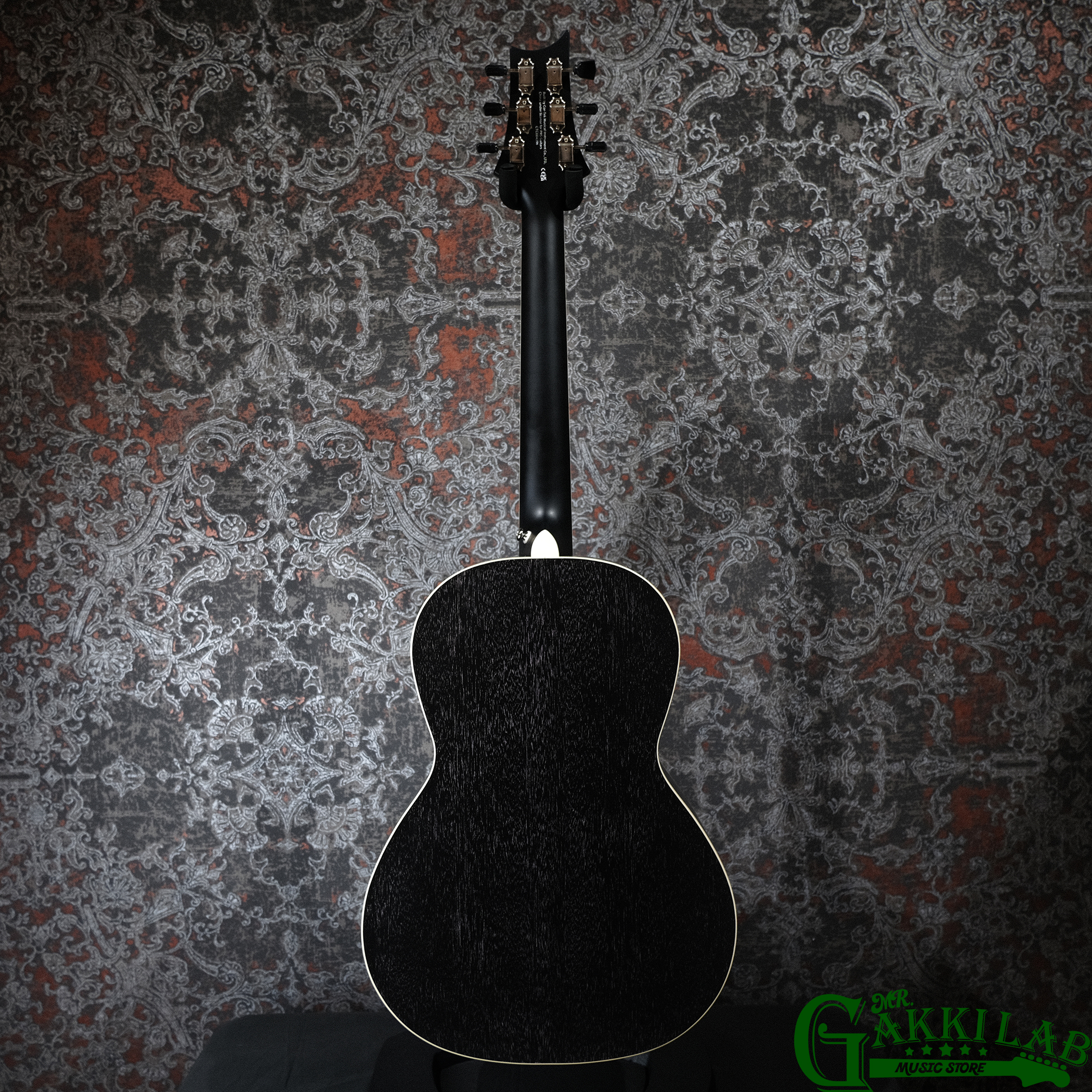 Paul Reed Smith(PRS) SE P20E Dog Hair w/ Fishman Presys VT Pickup