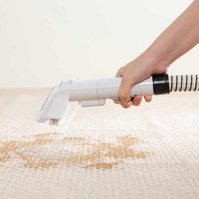 リンサークリーナー RNS-P10-W 自動散水 温水洗浄 ｜ ミスターマックス