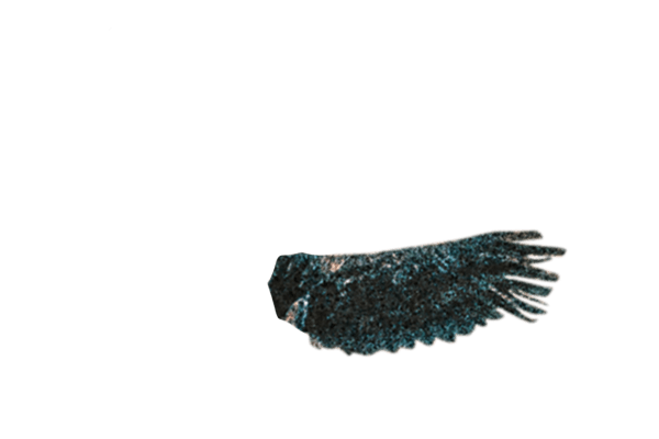 Mrs. GREEN APPLE ≪DOME TOUR 2025 ”BABEL no TOH”≫