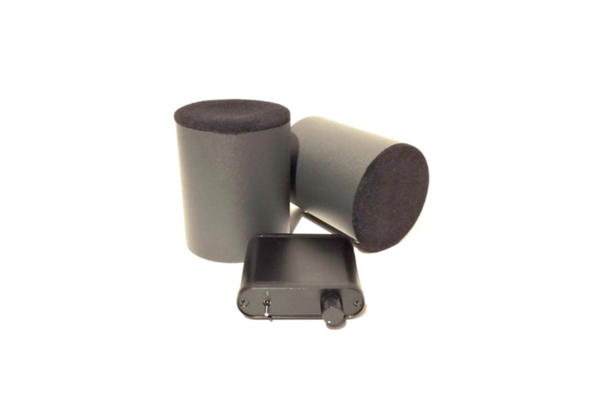 エムズシステムスピーカー MS1001-M（メープル） | M's system