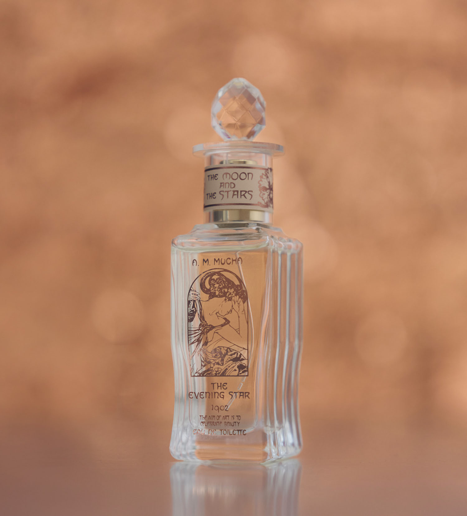 EVENING STAR and POLE STAR Collection │ MUCHA（ミュシャ）公式サイト