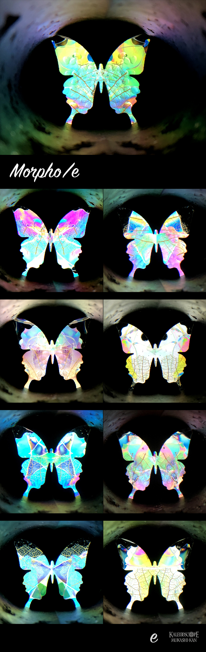 万華鏡：オイル]Morpho /abcde モルフォ：若林寛［送料無料］