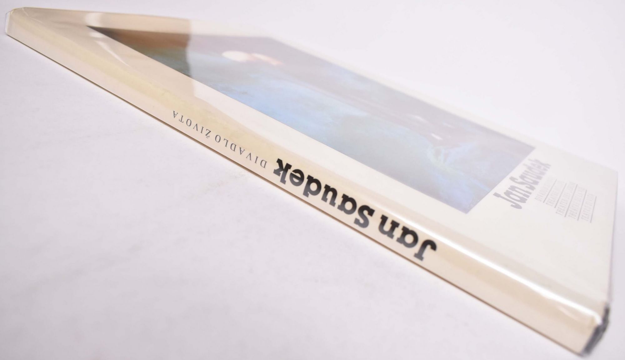 Jan Saudek: Divadlo Zivota | Daniela Mrazkova