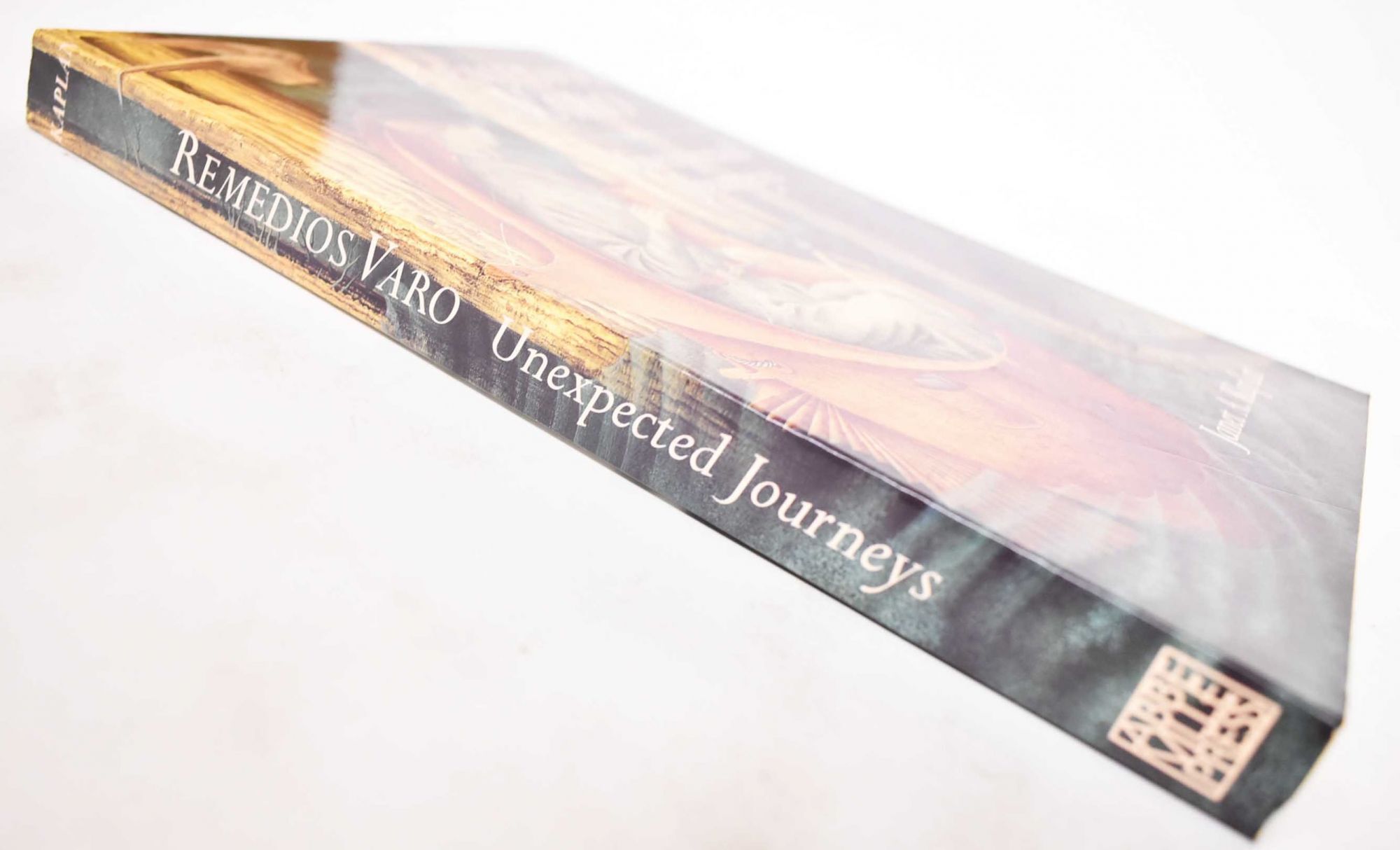 Unexpected Journeys: the art and life of Remedios Varo | Janet A