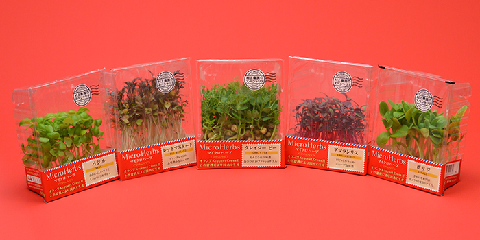 ご利用ガイド | 村上農園オンラインショップ