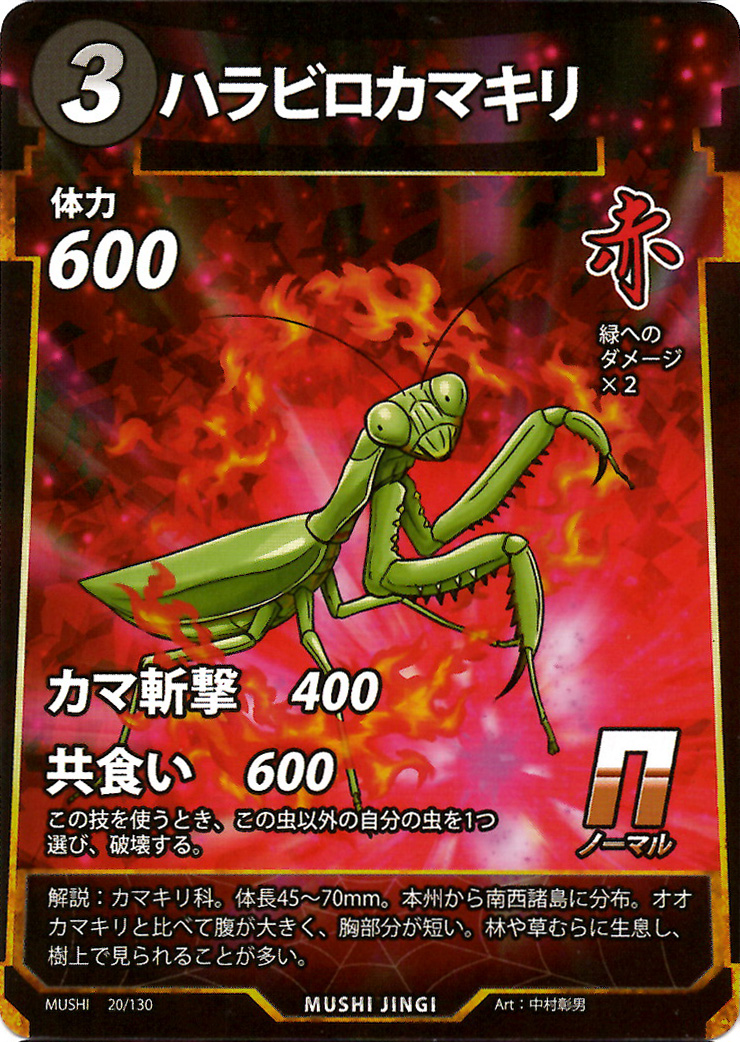 蟲神器】ハラビロカマキリ(N)の詳細【昆虫カード図鑑】