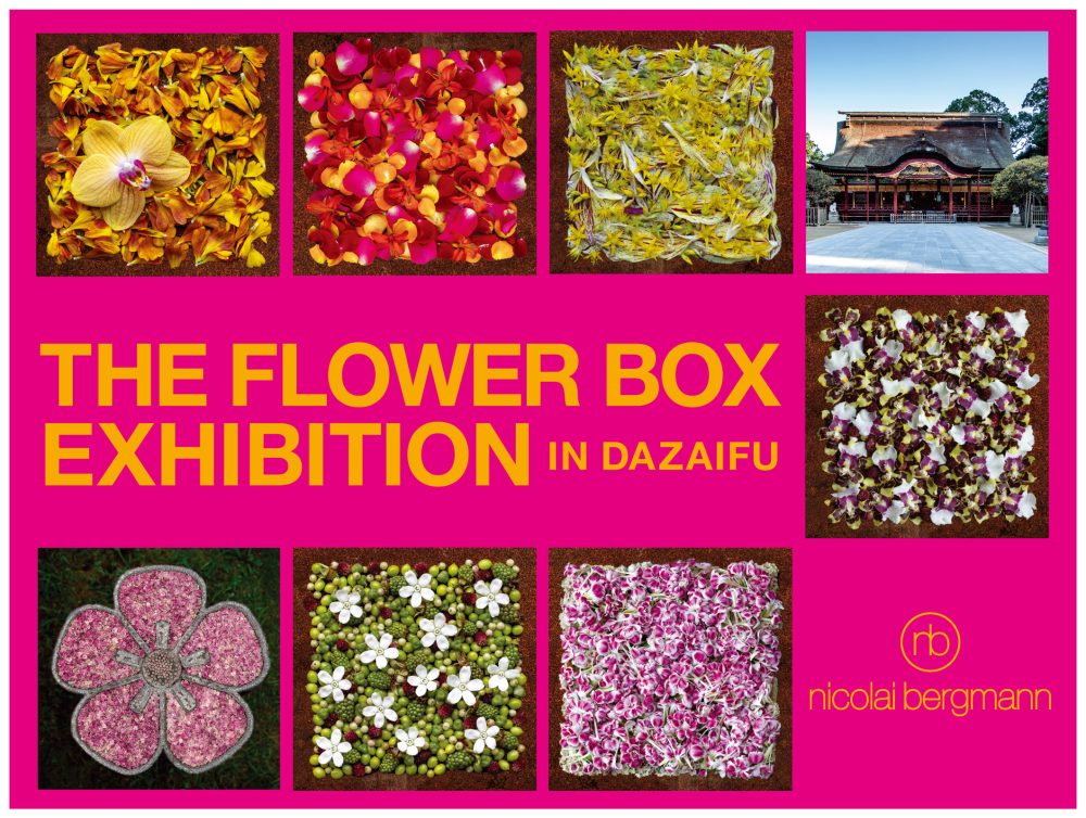 ニコライ・バーグマンが太宰府天満宮にて「THE FLOWER BOX EXHIBITION