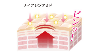 薬用美白]オールインワン プラチナホワイトクリーム 40g | ルソイル