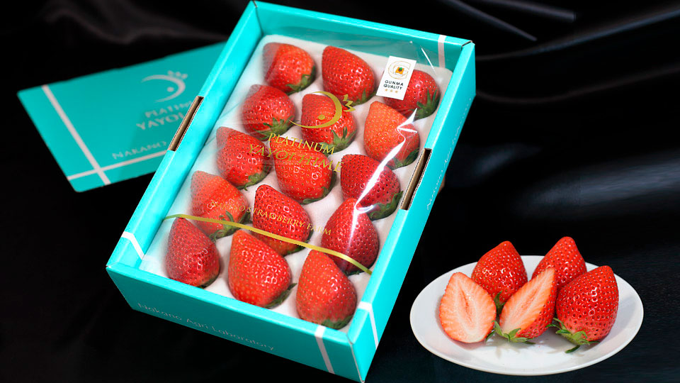 やよいひめのいちご狩り・お取り寄せなら群馬県の観光いちご園 中野