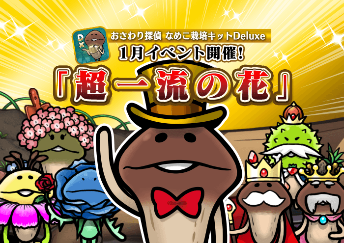 なめこDeluxe】1月イベント「超一流の花」配信開始｜なめこぱらだいす