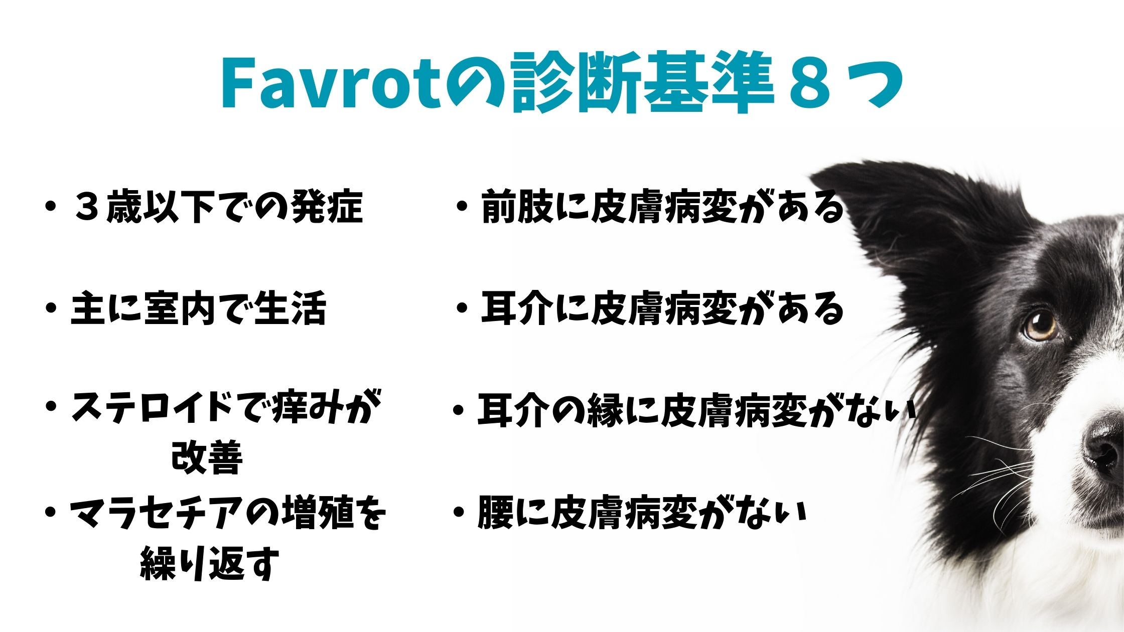 犬アトピー性皮膚炎の治療の教科書！これさえ見ればOK！｜なんよう動物