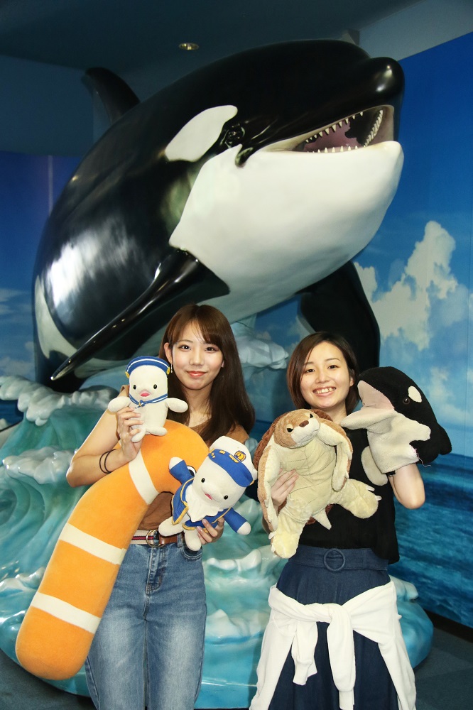 名古屋港水族館　シャチ　ナミちゃんうちわ 名古屋港水族館にシャチ到着／和歌山の「ナミちゃん」 | 全国ニュース