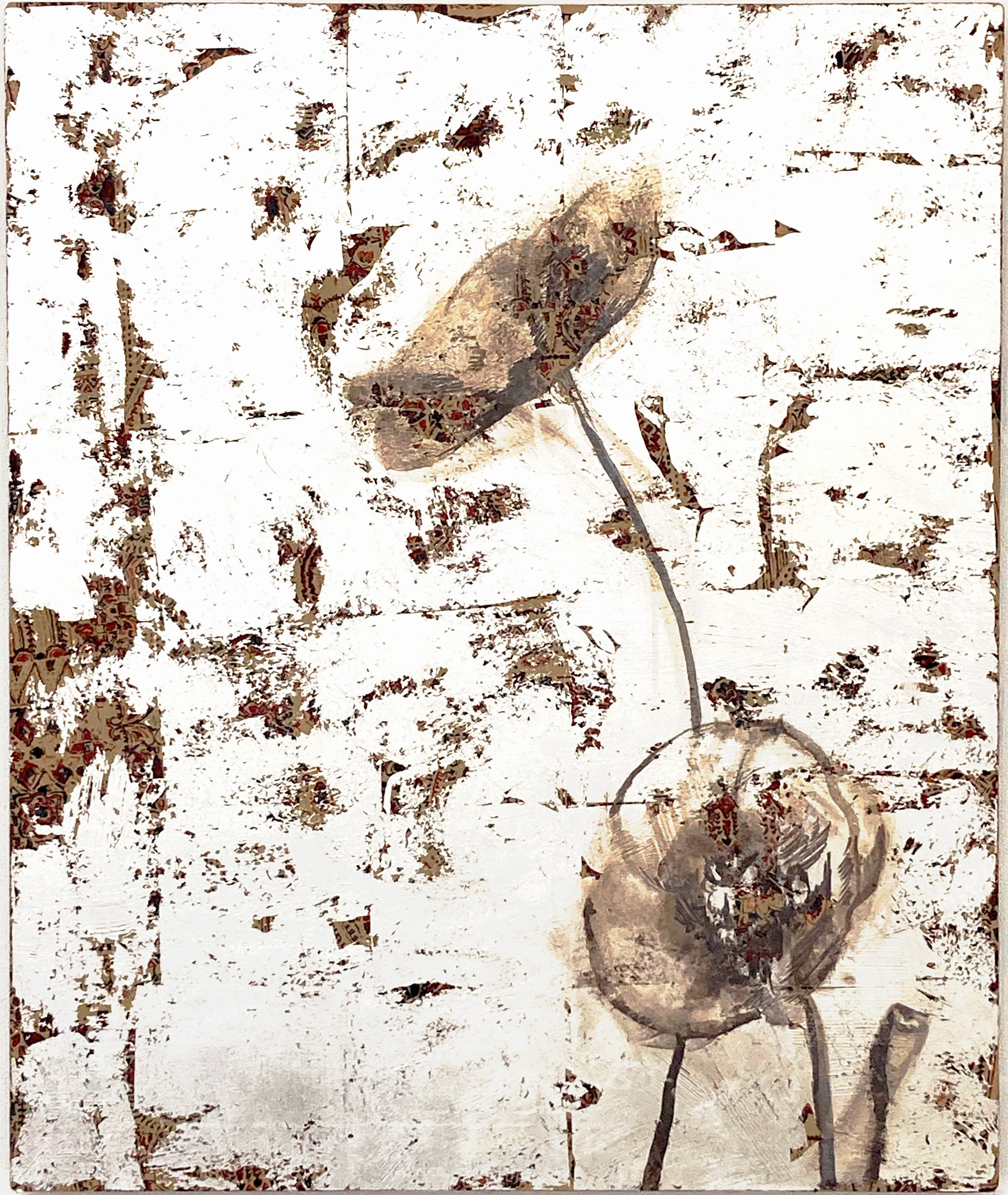 小谷 くるみ | 大阪中之島美術館