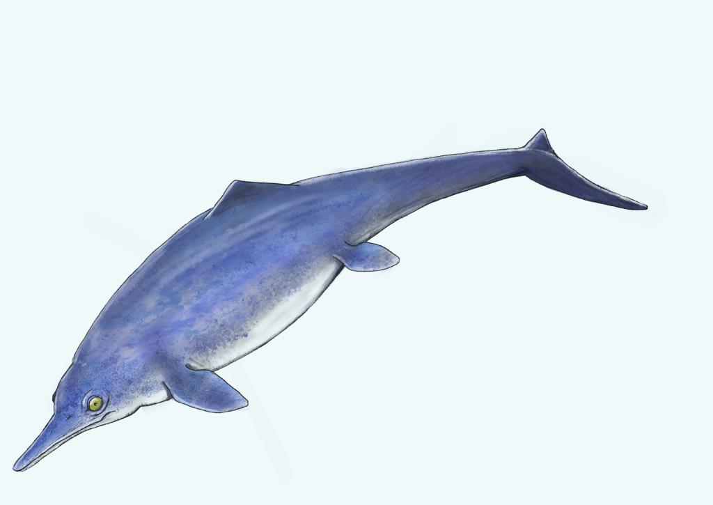 Big News！】貴重な大発見！当館所蔵の化石標本にまさかの魚竜化石