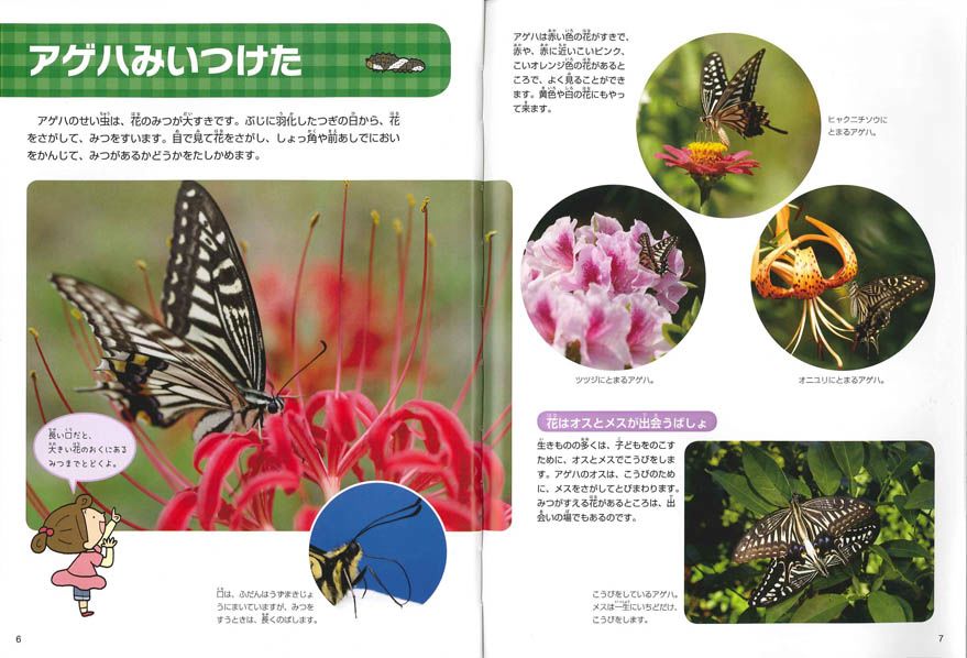 新刊NEWS『いきものとなかよし はじめての飼育』: ネイチャー＆サイエンス