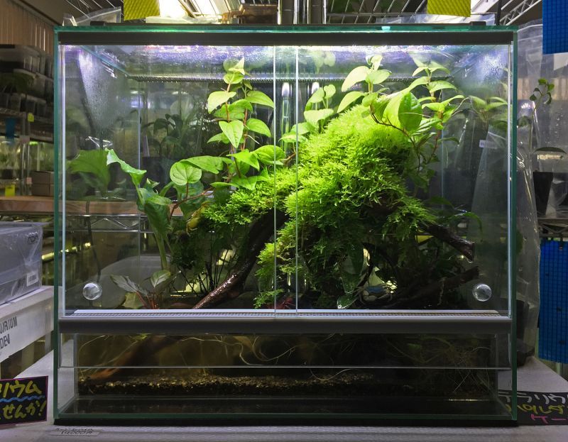 EHEIM レプタイルケージ入荷しております。 - What's New｜Aqua Studio