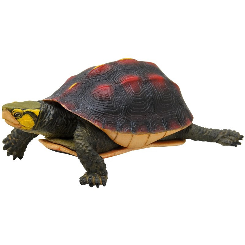 Nature of Japan 日本のいきもの2 – ネイチャーテクニカラー公式