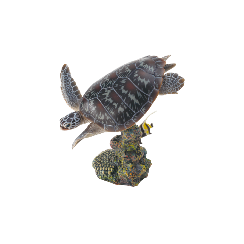 NTC 小笠原 特装版 – ネイチャーテクニカラー公式