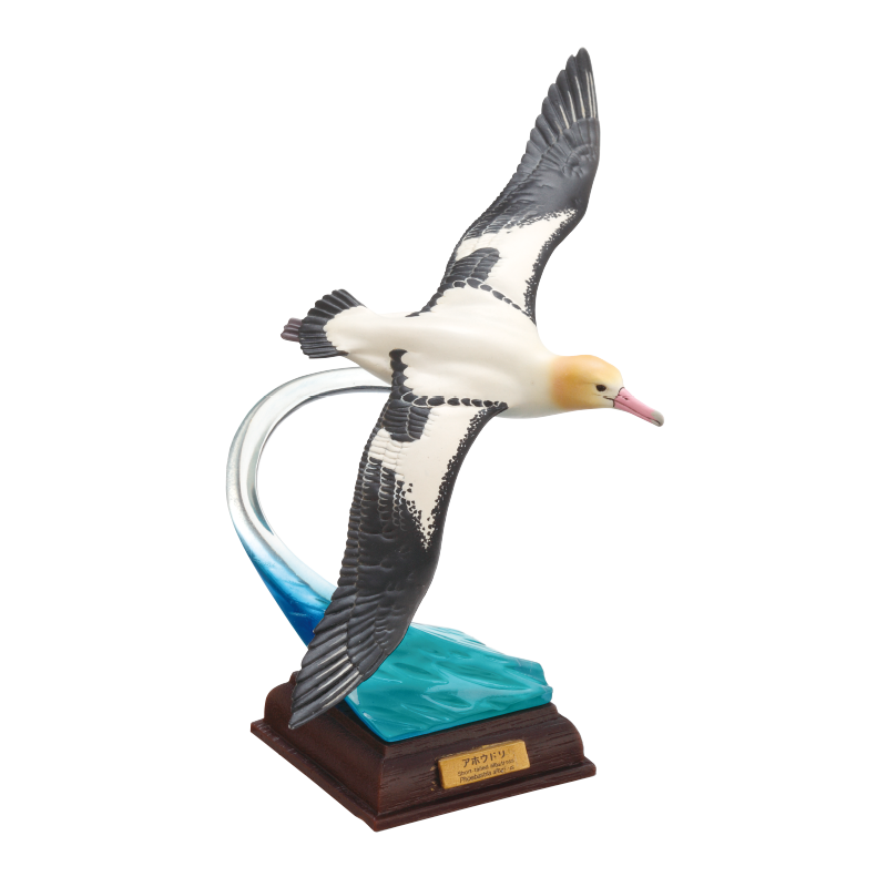 NTC 小笠原 特装版 – ネイチャーテクニカラー公式