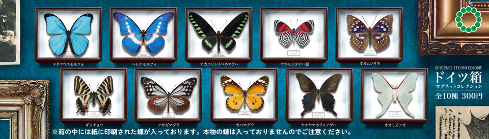 ドイツ箱マグネットコレクション – ネイチャーテクニカラー公式