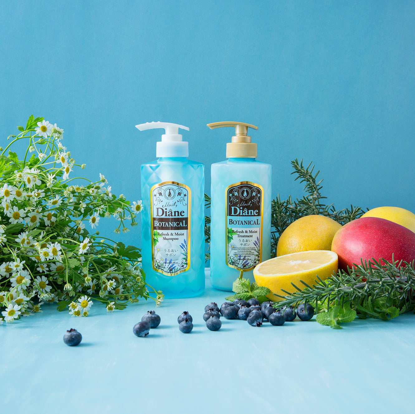 Moist Diane Botanical Refresh & Moist Shampoo – NatureLab USA