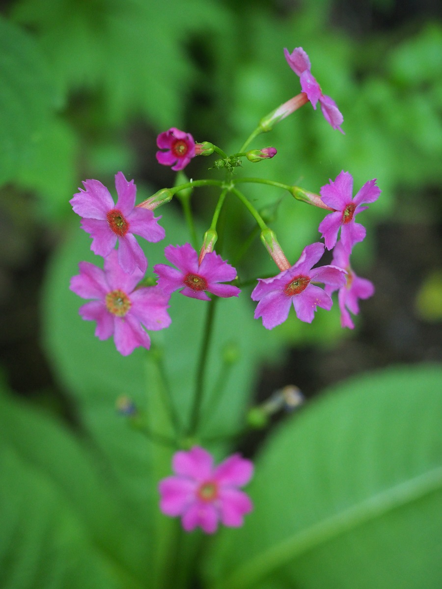 0c578fab2073d45dd9d3e3a8b85f4c