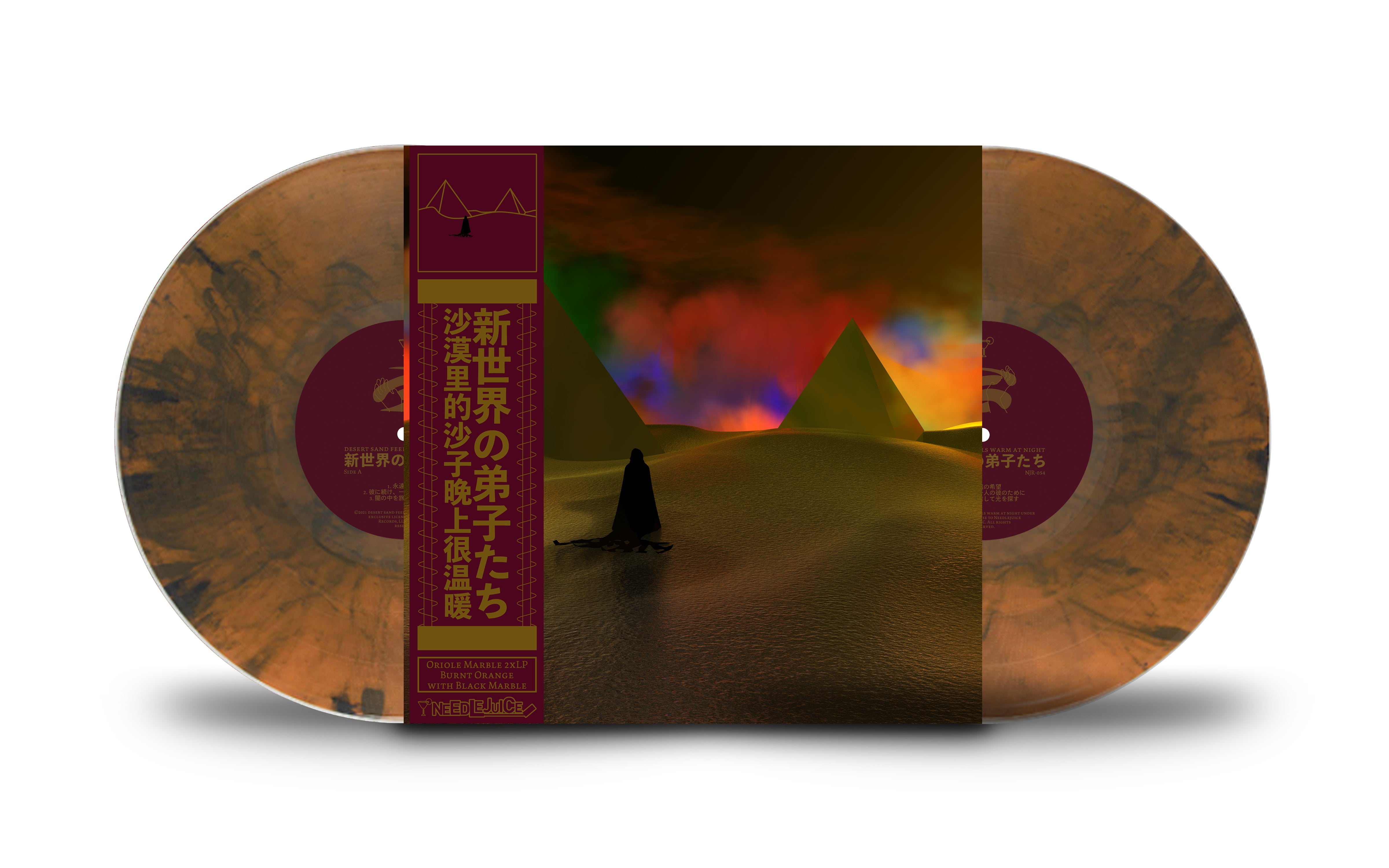 Desert Sand Feels Warm at Night – Needlejuice Records