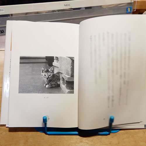 坂崎幸之助『ネコロジー』 | 猫好きが読んだ千冊の本