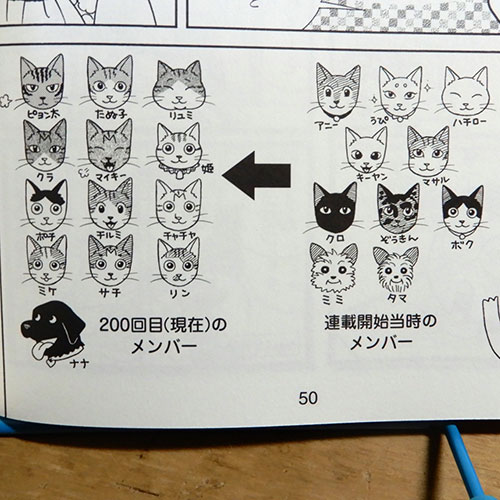 セツコ・山田『セツコ・山田の猫三昧』 | 猫好きが読んだ千冊の本