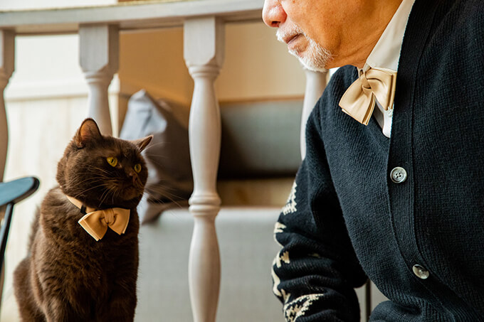 かわいすぎる♪猫のネクタイ・蝶ネクタイ登場！ | 猫ねこ部