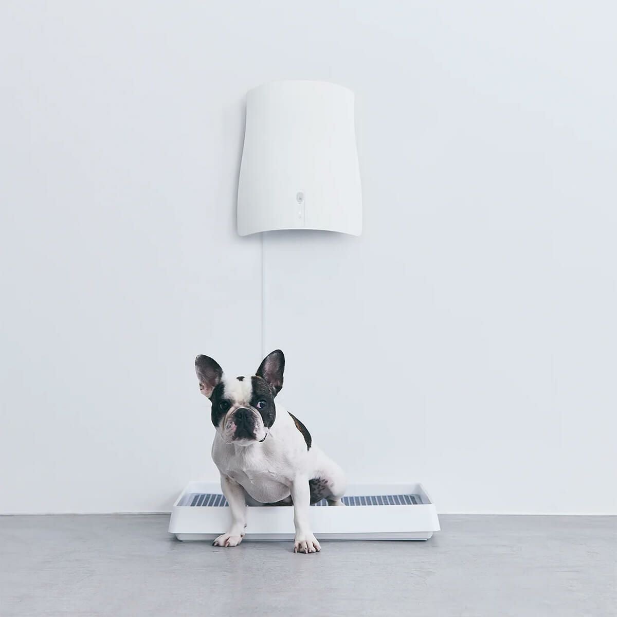 QAIS-air-04A1J ペット専用除菌脱臭機 クワイスエアー 壁掛け型 UV