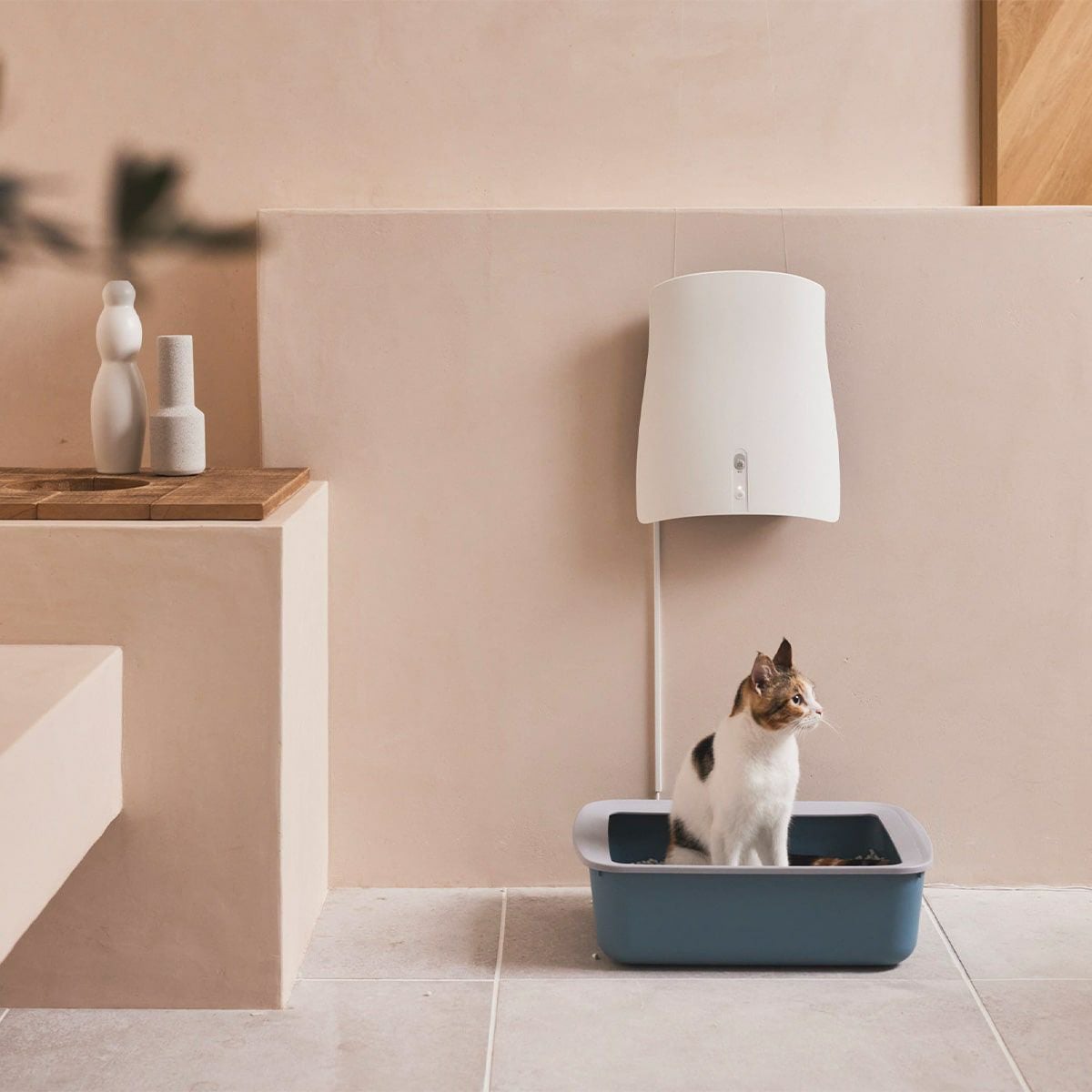 000000002385-11.jpg?size=l&w=