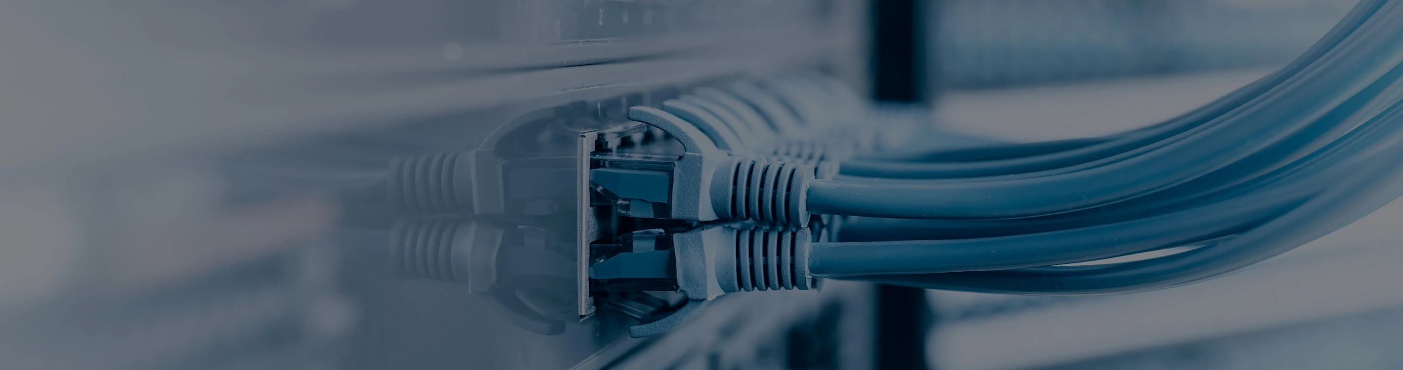 DN2800WSG3E / DN2800WSG5E | 大電のネットワーク機器専用サイト