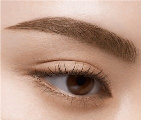 ケイト アイブロウペンシルZ BR－2(ｵﾘｰﾌﾞﾌﾞﾗｳﾝ): ビューティーケア