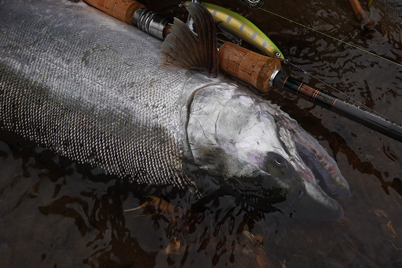 モノクローム｜ニュース（総合ブログ） ｜Casket カスケット