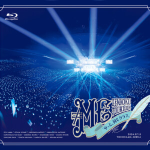 re_neqm_yokoariJK_BD_visual-