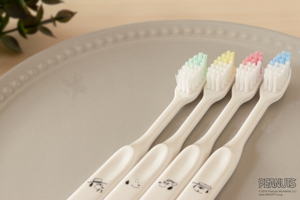 スヌーピーの大人かわいい「歯ブラシ」に注目！きょうだいをモチーフに
