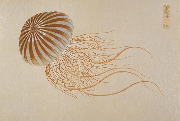 松平家図譜」に込められた技術の極み！香川県高松市で「高松松平家博物