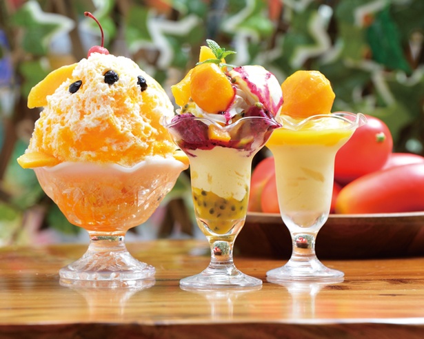 濃厚なマンゴーに思わずうっとり！鹿児島・指宿へグルメドライブ