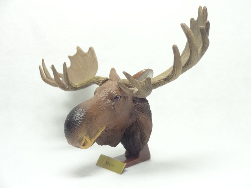 ハンティングトロフィー シークレット エゾシカ ヘラジカ ドールシープ