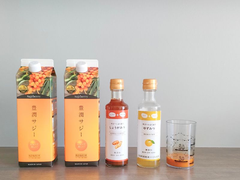 サジー 3本セット 豊潤サジー×3本セット 豊潤サジー 1000ml 3本セット 【
